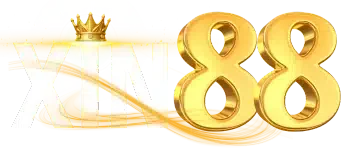 xin888.co.com
